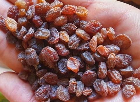 تصویر 1 از کشمش آفتابی بدون هسته گزینه ای برای رژیم غذایی